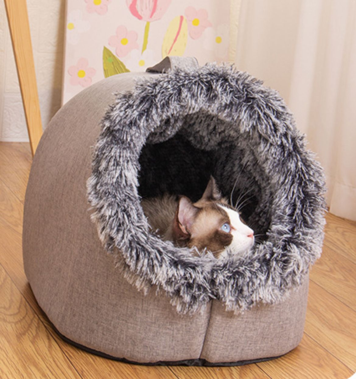 Cat Cave || ক্যাট কেভ